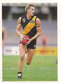1991 Select AFL Stickers #199 Greg Hamilton Front